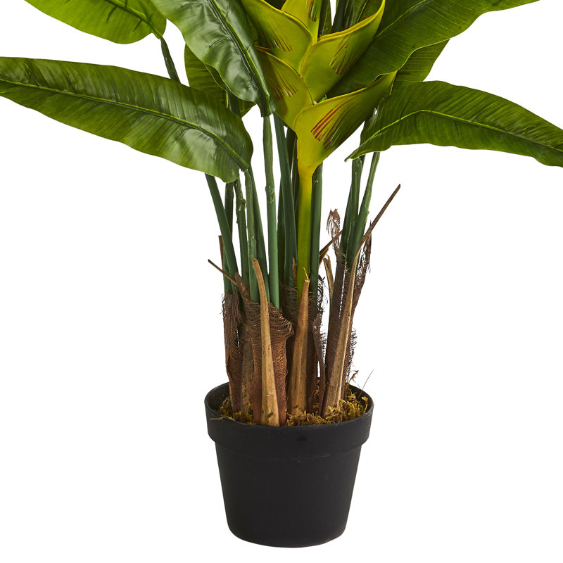 Bay Isle Home 54'' Faux Palm Tree in Planter & Reviews Wayfair